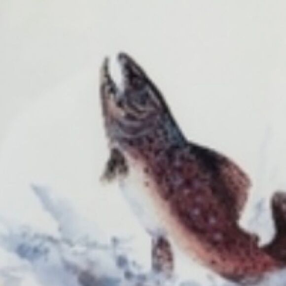 Royann Baum's Signed & Framed Fish Art - Picture 6 of 9